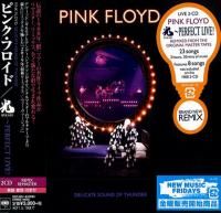Pink Floyd - Delicate Sound Of Thunder (2020) - 2 CD Paper Mini Vinyl