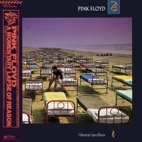 Pink Floyd - A Momentary Lapse Of Reason (1987) - Paper Mini Vinyl