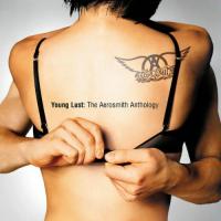 Aerosmith - Young Lust: The Aerosmith Anthology (2001) - 2 CD Box Set