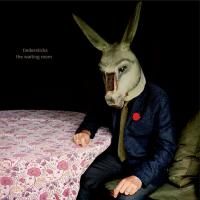 Tindersticks - The Waiting Room (2016) - CD+DVD Limited Deluxe Edition
