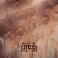 Agnes Obel - Citizen Of Glass (2016) (180 Gram Audiophile Vinyl)