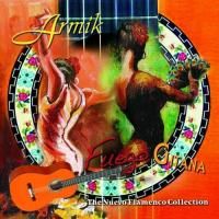 Armik - Fuego Gitana: Nuevo Flamenco Collection (2008)