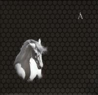 Аквариум - Лошадь белая (2008)