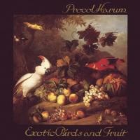 Procol Harum - Exotic Birds & Fruit (1974) (180 Gram Audiophile Vinyl) 2 LP