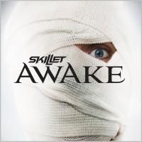 Skillet - Awake (2009)