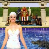 Stone Temple Pilots - Tiny Music (1996) (180 Gram Audiophile Vinyl)