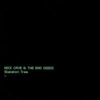 Nick Cave & The Bad Seeds - Skeleton Tree (2016) (180 Gram Audiophile Vinyl)