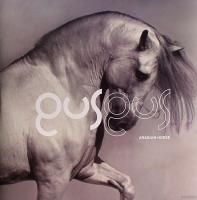 GusGus - Arabian Horse (2011) - 2 LP+CD