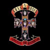 Guns N' Roses - Appetite For Destruction (1987) (180 Gram Audiophile Vinyl)