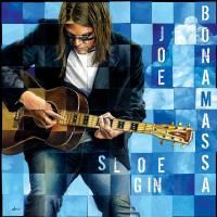 Joe Bonamassa - Sloe Gin (2007)  (180 Gram Audiophile Vinyl)