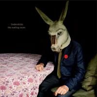 Tindersticks - The Waiting Room (2016) (180 Gram Audiophile Vinyl)