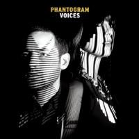 Phantogram - Voices (2014) (180 Gram Audiophile Vinyl) 2 LP