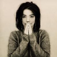 Björk - Debut (1993)