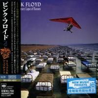 Pink Floyd - A Momentary Lapse Of Reason (Remixed & Updated) (1987) - Paper Mini Vinyl