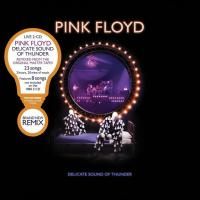 Pink Floyd - Delicate Sound Of Thunder (1988) - 2 CD Box Set