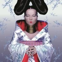Björk - Homogenic (1997) (180 Gram Audiophile Vinyl)
