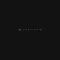 Bring Me The Horizon - That's The Spirit (2015) - LP+CD