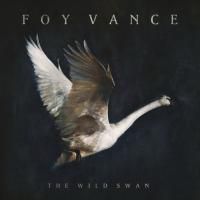 Foy Vance - The Wild Swan (2016)