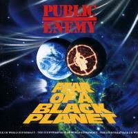 Public Enemy - Fear Of A Black Planet (1990)