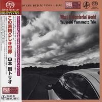 Tsuyoshi Yamamoto Trio - What A Wonderful World (2013) - SACD