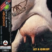Aerosmith - Get A Grip (1993) - Paper Mini Vinyl
