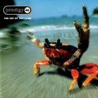 The Prodigy - The Fat Of The Land (1997) (180 Gram Audiophile Vinyl) 2 LP