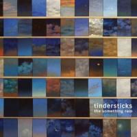 Tindersticks - The Something Rain (2012) (180 Gram Audiophile Vinyl)