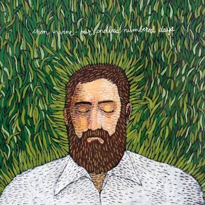 Iron & Wine - Our Endless Numbered Days (2004) (180 Gram Audiophile Vinyl)