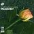 The Royal Philharmonic Orchestra - Tchaikovsky: Pianon Concerto No. 1 (1994) - Hybrid SACD