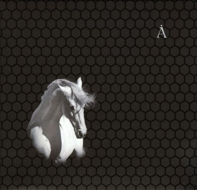 Аквариум - Лошадь белая (2008)