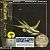 Hummingbird - Diamond Nights (1977) - SHM-CD Paper Mini Vinyl