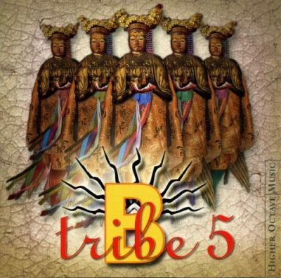 B-Tribe - B-Tribe 5 (2003)