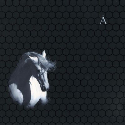 Аквариум - Лошадь белая (2008) (Виниловая пластинка)